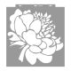 Peony painting stencil - 59x63 cm 02