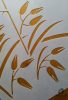 Poaceae - MyWall stencil family