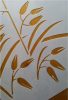 Grass painting stencil - 38x60 cm