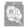 Protea 3D stencil - 18x23 cm